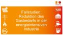 Bild mit Titel des Dokuments: Fallstudien - Reduktion des Gasbedarfs in der energieintensiven Industrie